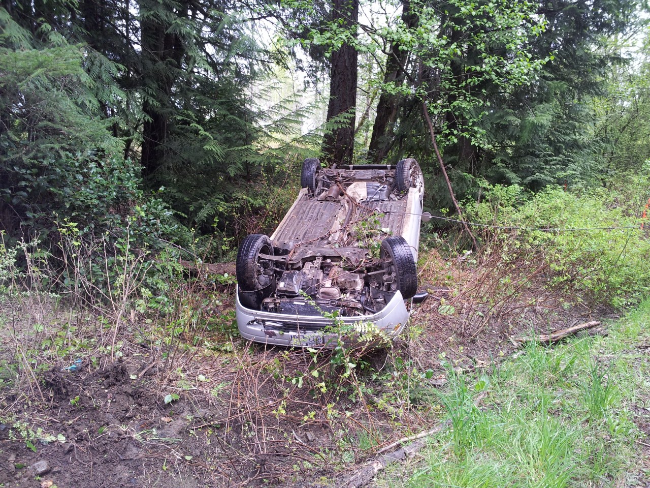 End of the Focus 019